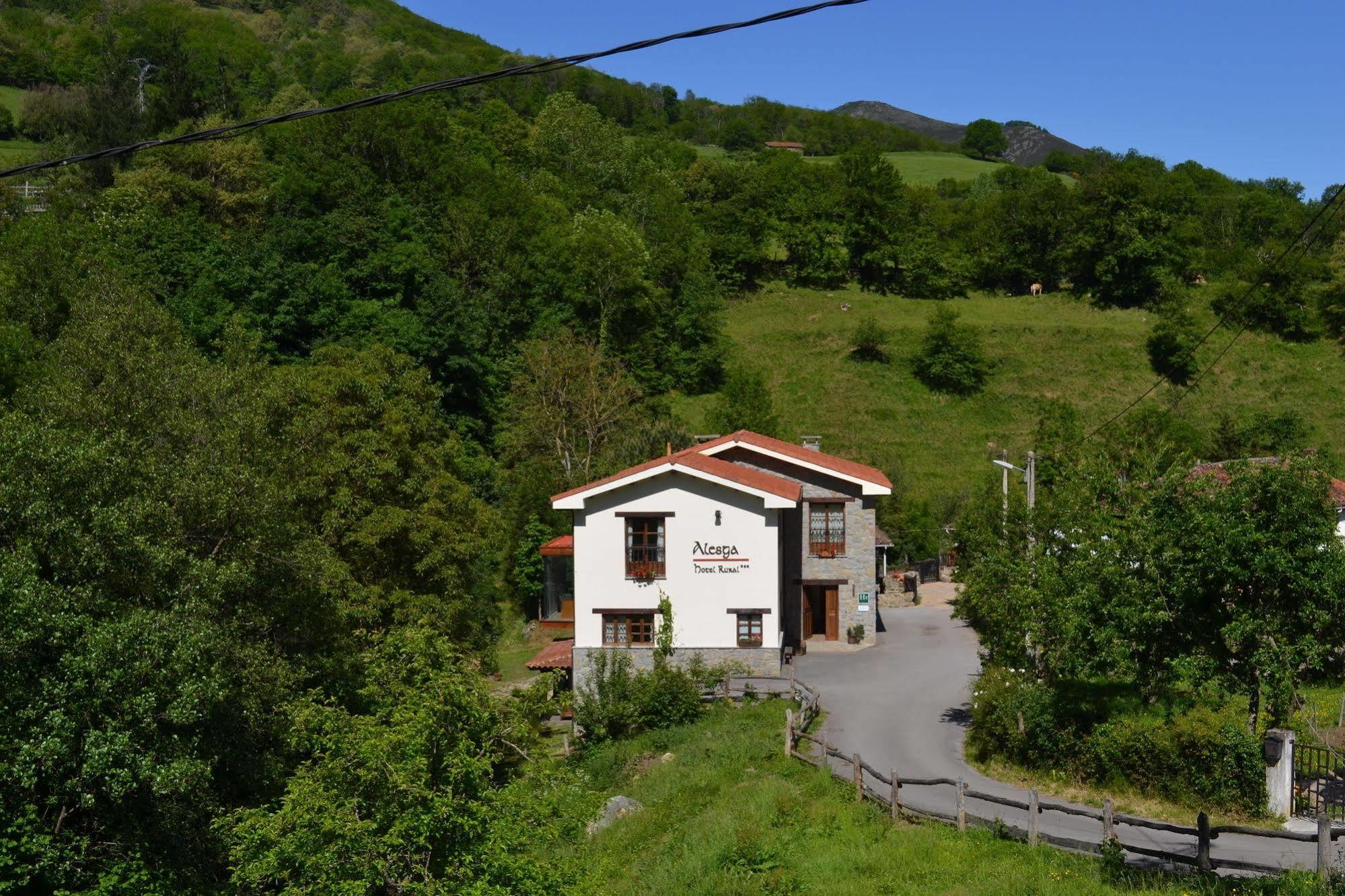 Alesga Hotel Rural - Valles Del Oso -Asturias San Salvador  Екстер'єр фото