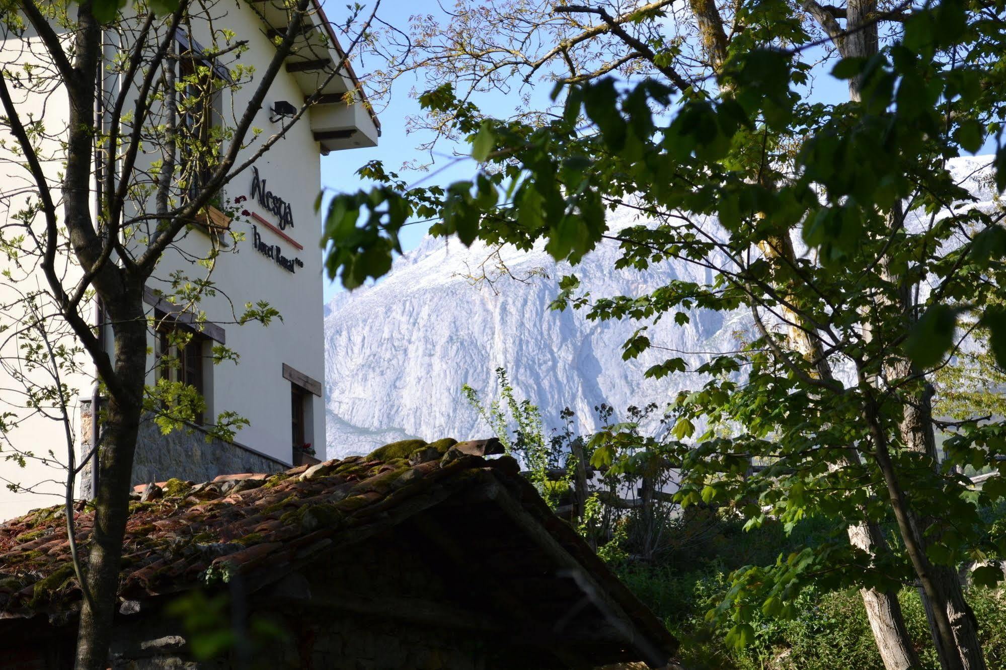 Alesga Hotel Rural - Valles Del Oso -Asturias San Salvador  Екстер'єр фото